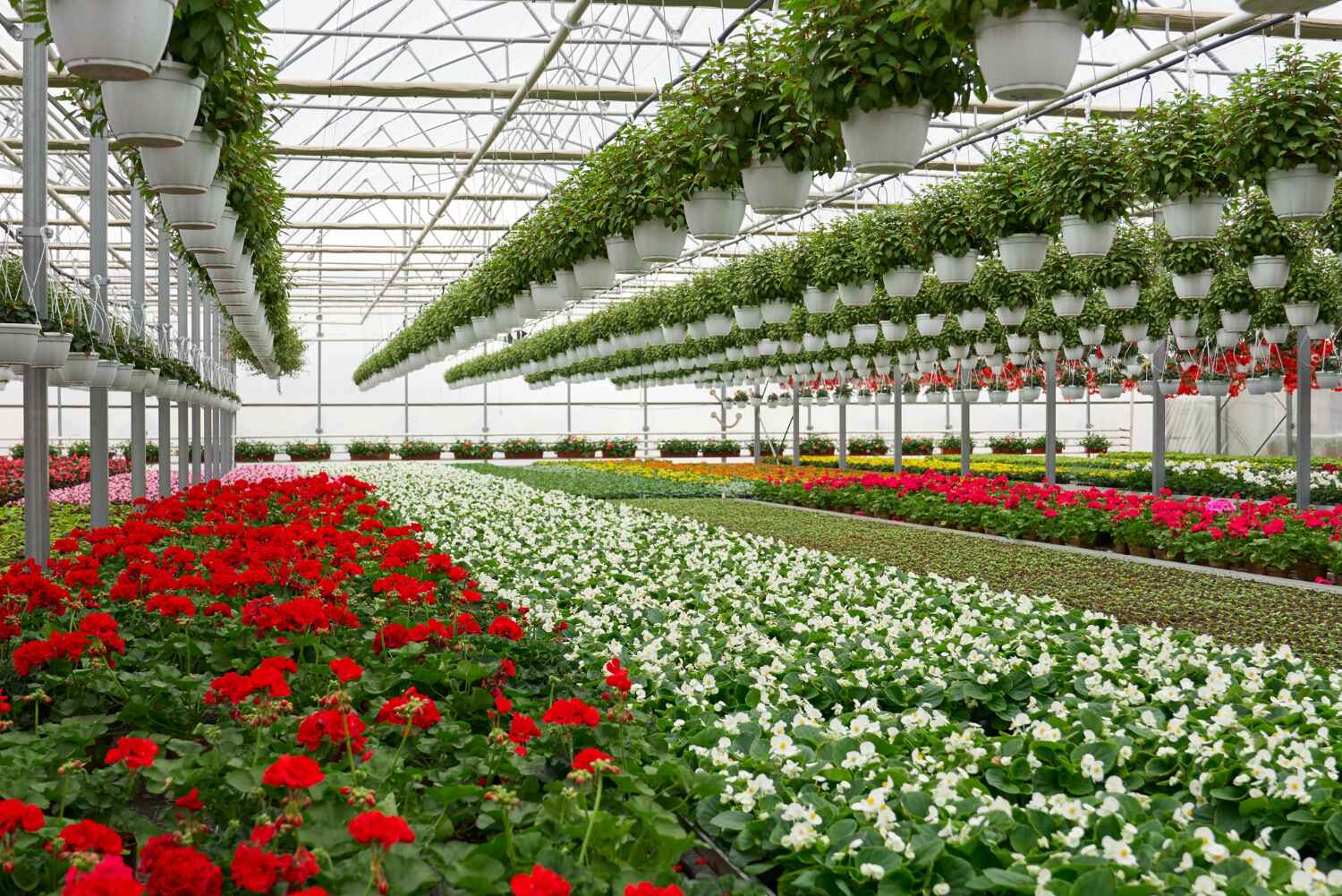 SustainAG Solutions